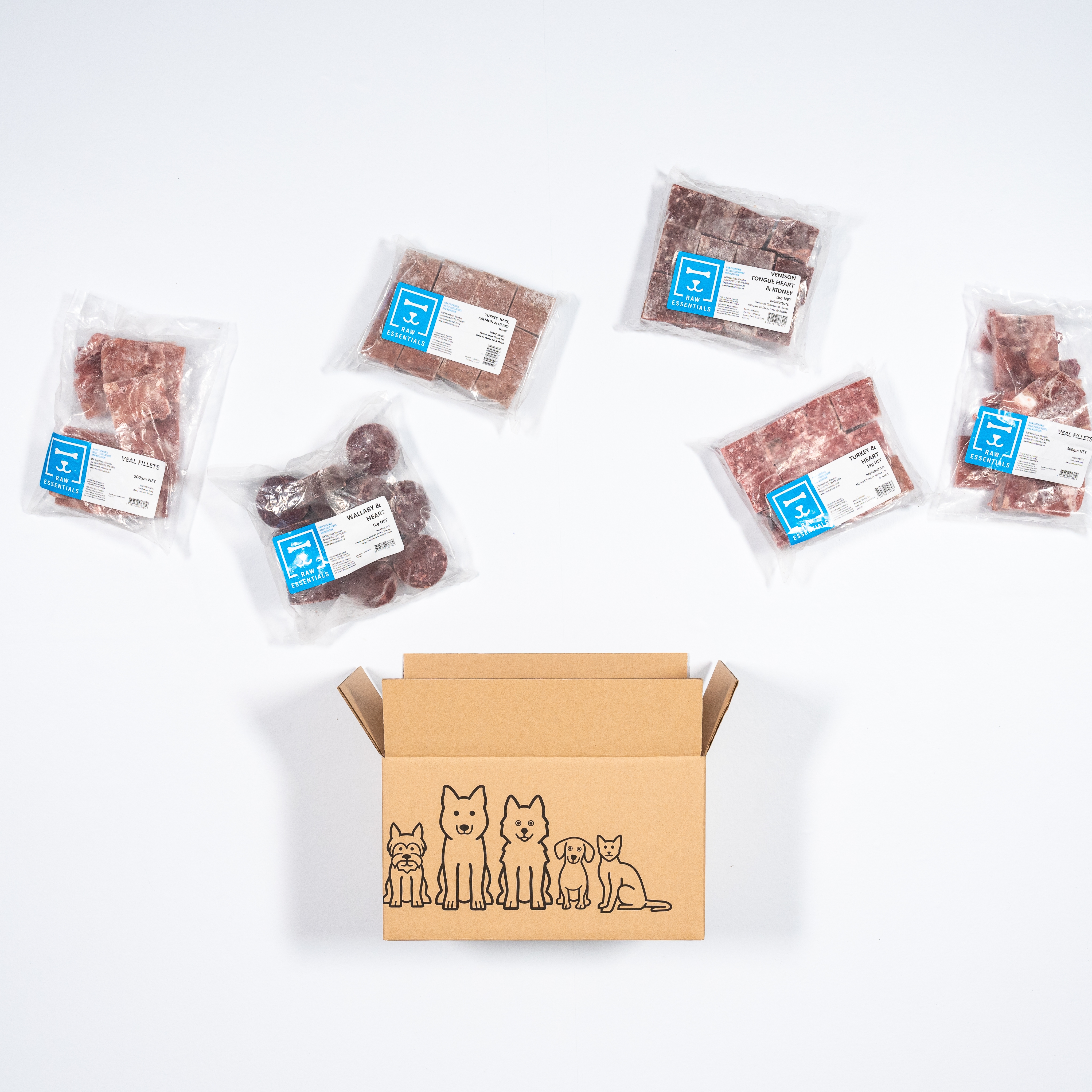 Cat Thumbnail 1 Cat Thumbnail 1