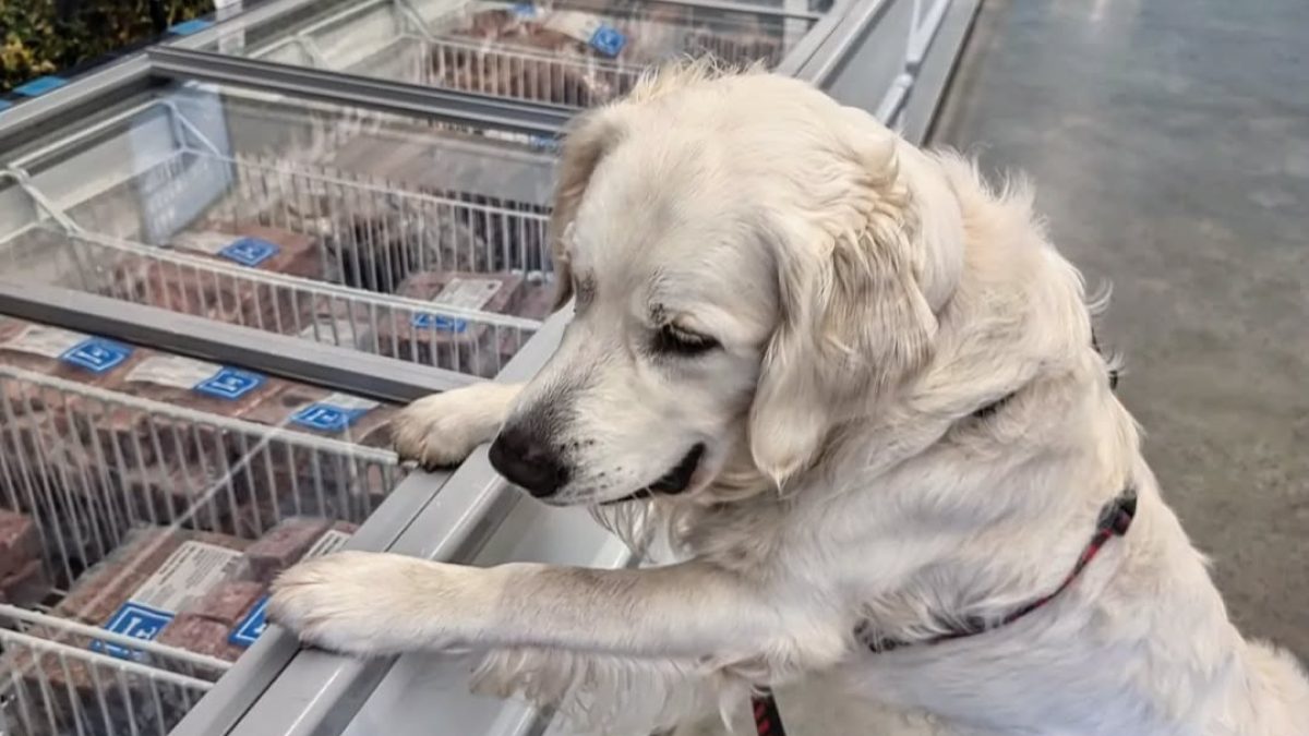 Stores Page Option 1 new