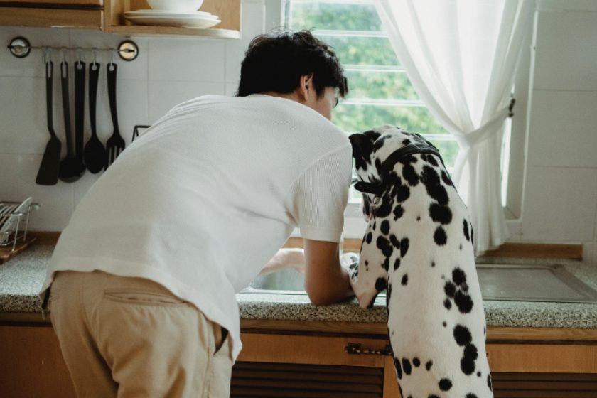 Screen Shot 2025 10 05 at 3 01 29 PM Screen Shot 2025 10 05 at 3 01 29 PM