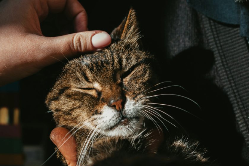 Screen Shot 2025 10 05 at 3 01 38 PM Screen Shot 2025 10 05 at 3 01 38 PM