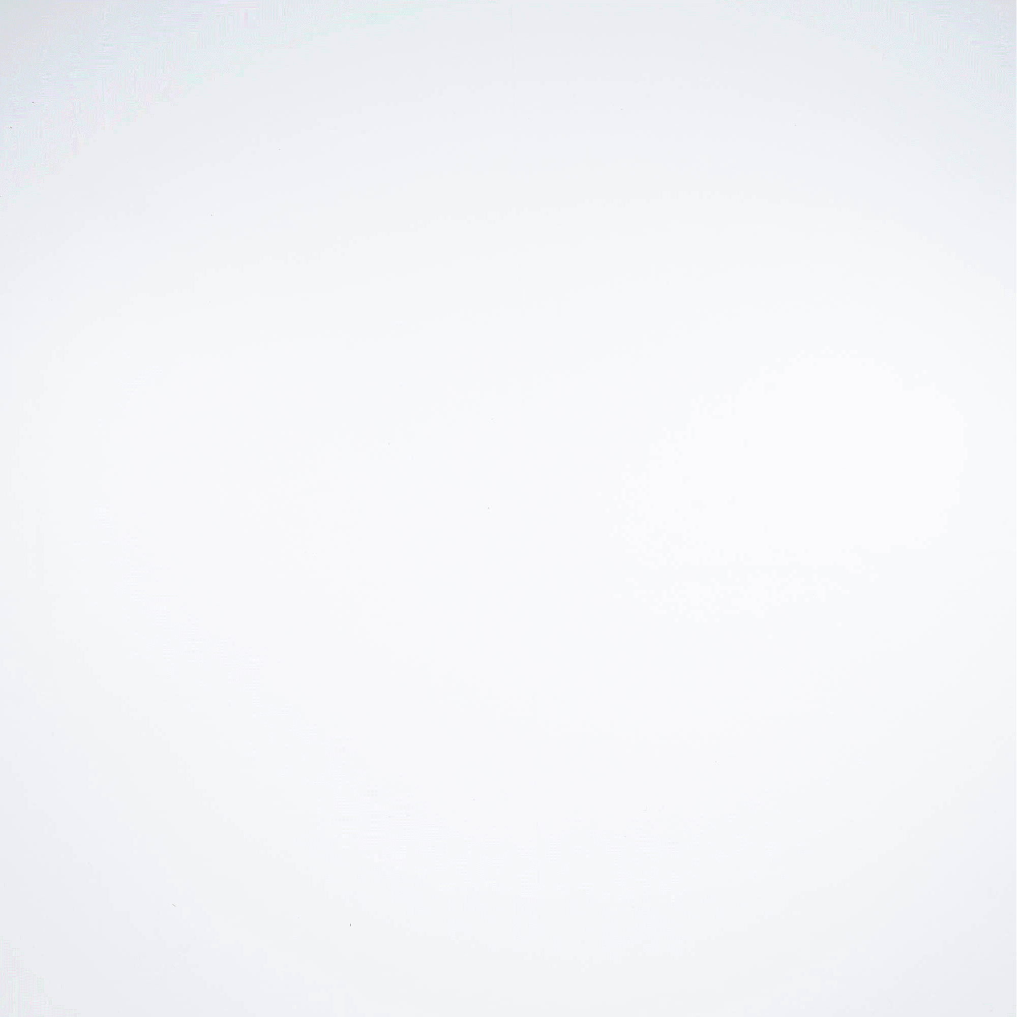 Dog 0 2sec Dog 0 2sec