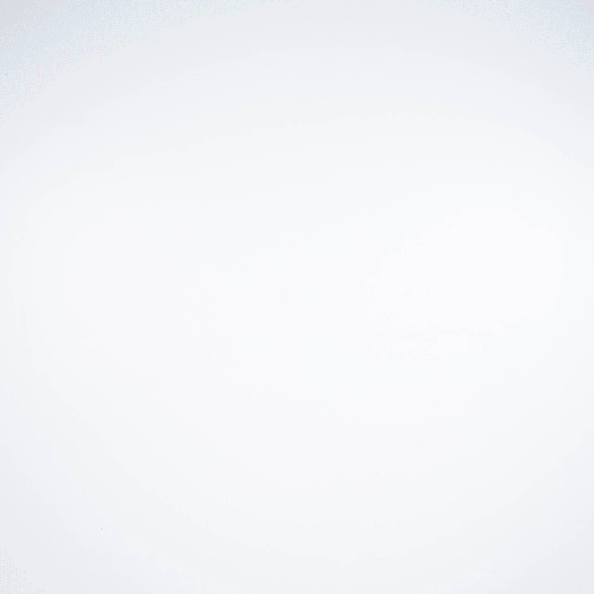 Puppy 0 2sec Puppy 0 2sec