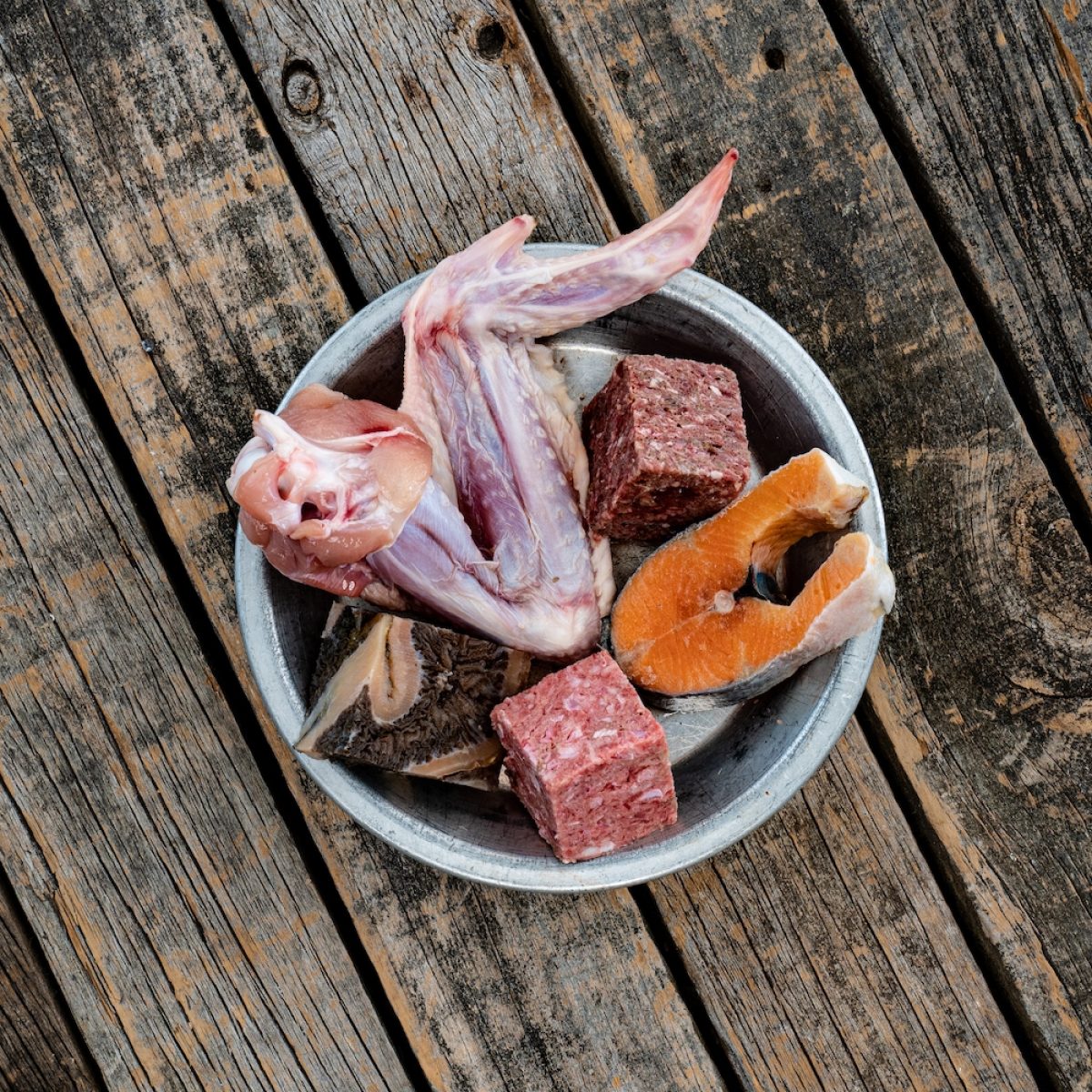 Assortment of Raw Essentials Ingredients Including, Salmon Fillet, Cubed Beef And Tripe, Turkey Wing and Cubed Wallaby Mixed Meat In Metal Pet Bowl Assortment of Raw Essentials Ingredients Including, Salmon Fillet, Cubed Beef And Tripe, Turkey Wing and Cubed Wallaby Mixed Meat In Metal Pet Bowl